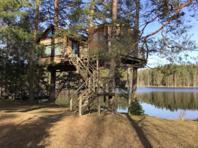 Treehouse Čiekurs
